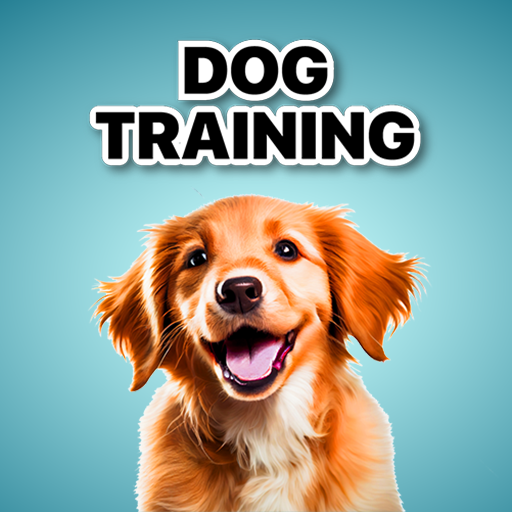 Dog Training & Puppy Care