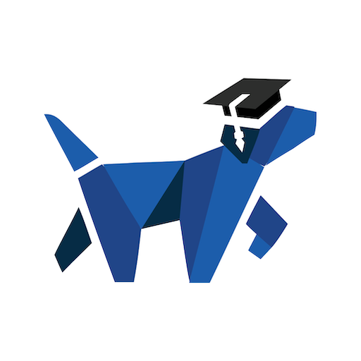 Dog Academy - Dog Training