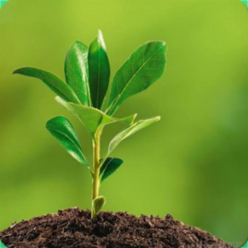 Environmental Ecology