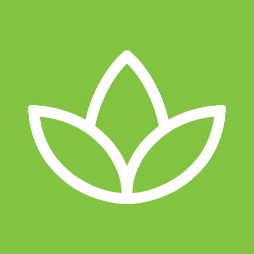 Quantum Health Wellbeing