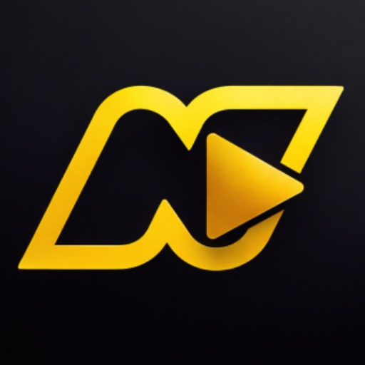 NetX: Network Video Player
