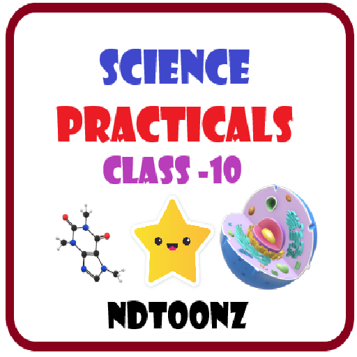 Class 10 Practicals Science