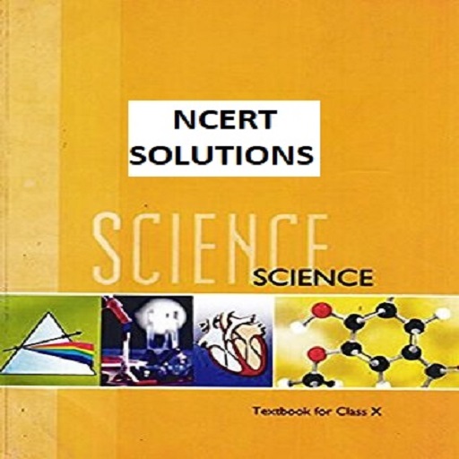 Class 10 Science Solutions
