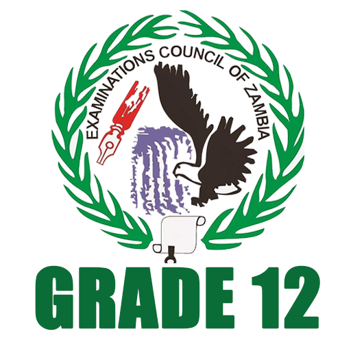 Past Papers for Grade 12