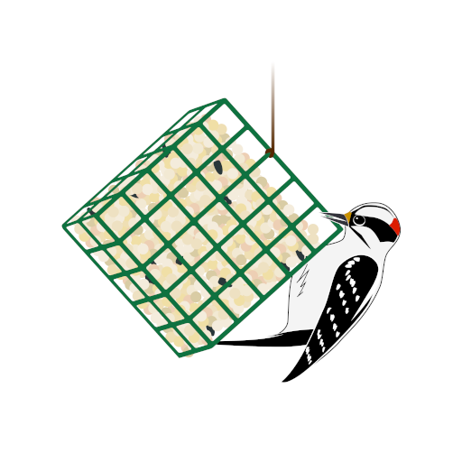Project FeederWatch