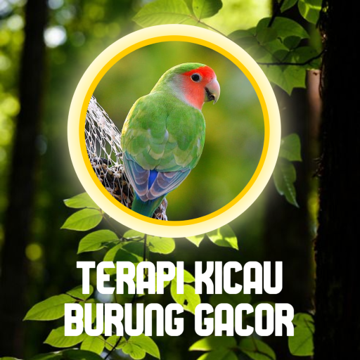 Terapi Kicau Burung Lengkap