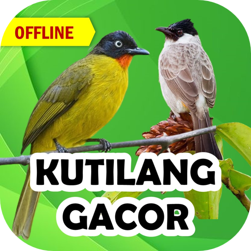 Suara Kutilang Gacor Mp3
