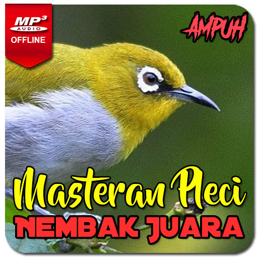 Masteran Pleci Nembak Juara