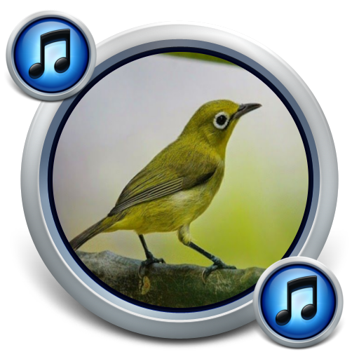 Master Kicau Pleci Gacor (Offl