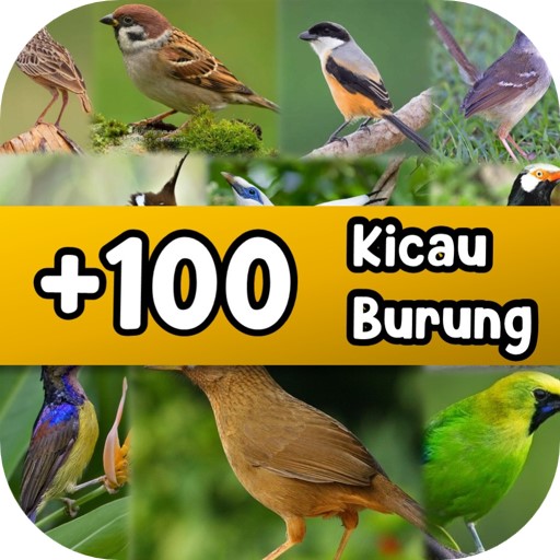 100+ MP3 Suara Kicau Burung