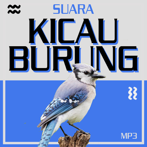 Suara Kicau Burung Mp3