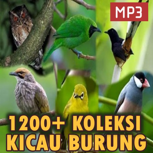 1500+ Suara Kicau Burung MP3