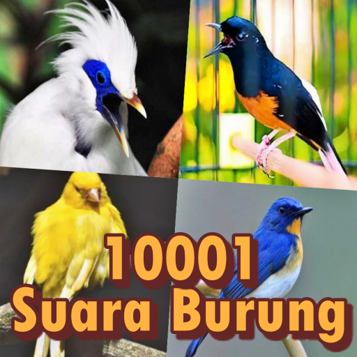1001 Suara Kicau Burung MP3
