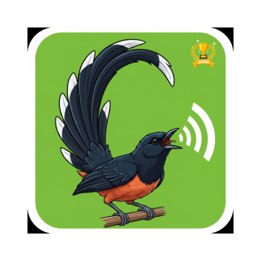 Murai Batu Bird Song: Sounds