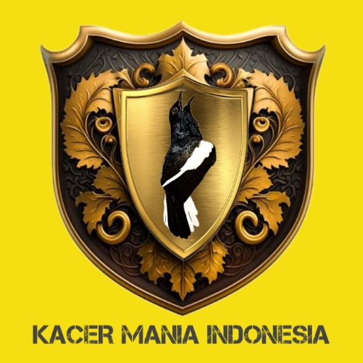 Masteran Kacer Juara