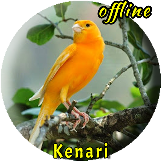 Suara Burung Kenari  Offline