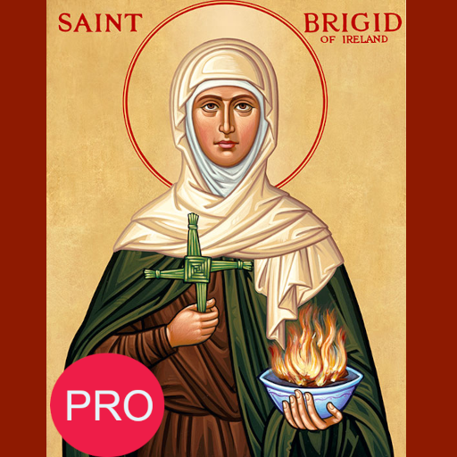 Saint Bridget prayers PRO