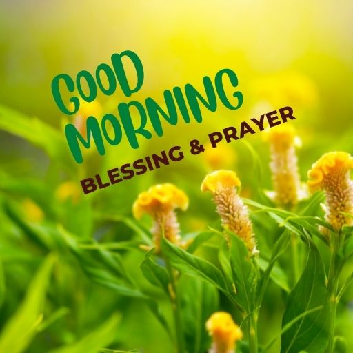 Good Morning Blessing & Prayer