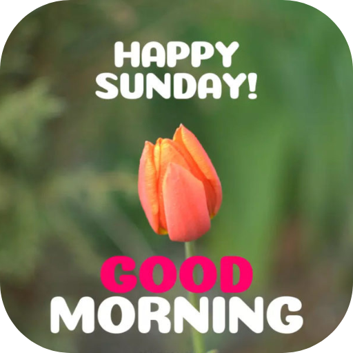 Happy Sunday Good Morning