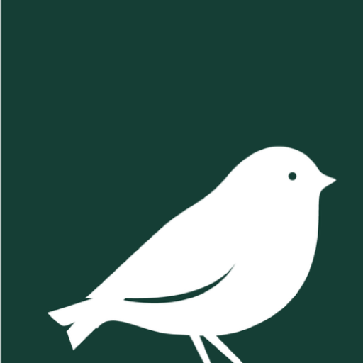 Perky-Pet® Smart Camera Feeder