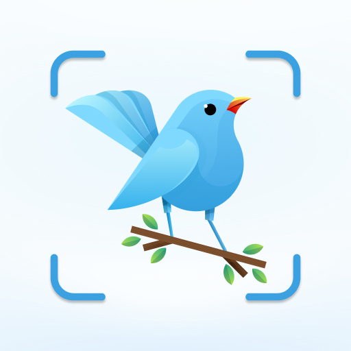 BirdID - Sound Bird Identifier