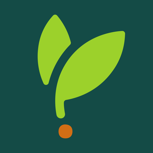 Sprout: Learn English