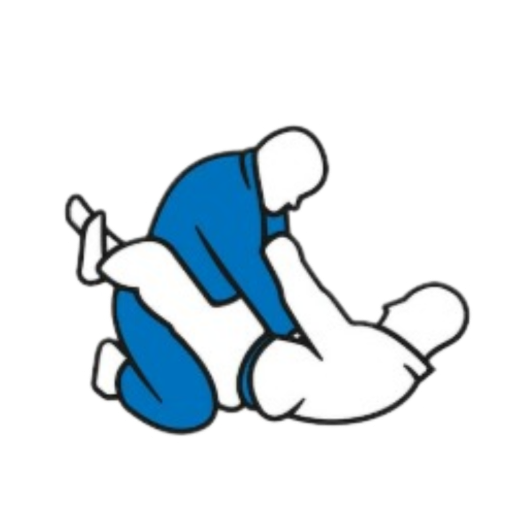 BJJ F3nix