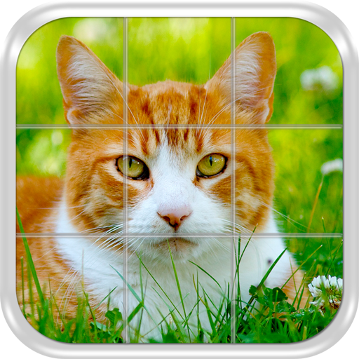 Cats Slide Puzzle Game