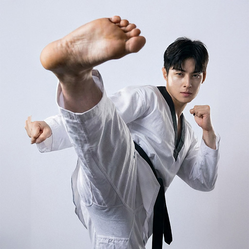 Taekwondo Kicks Training