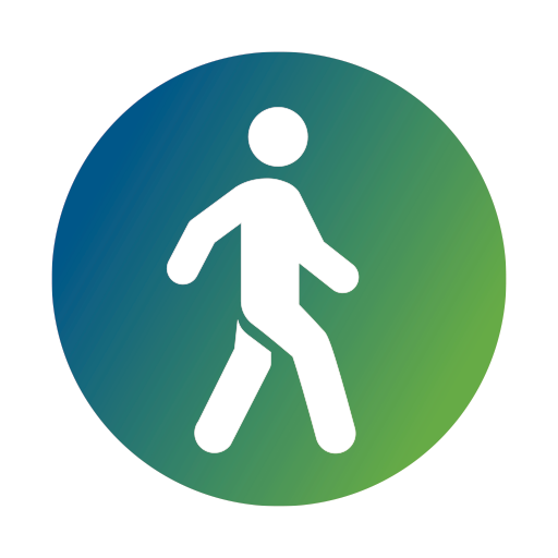 SB Physio: Rehab & Performance