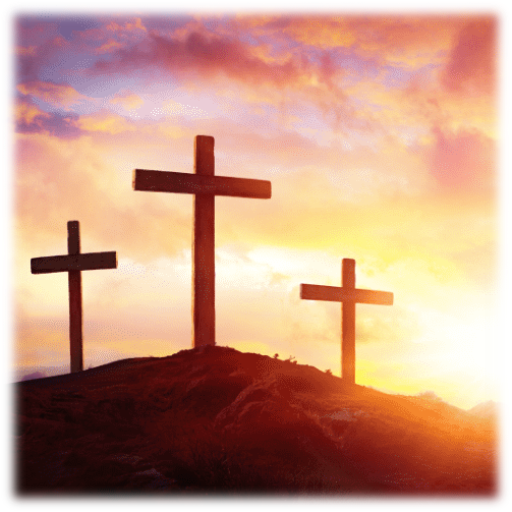 The New Way of the Cross