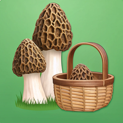 Mushroom Identifier & Map