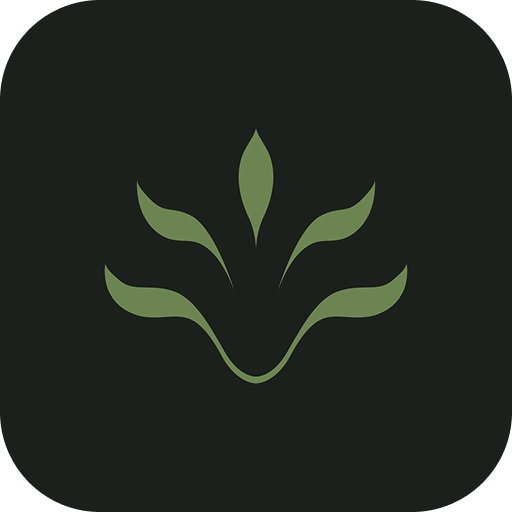 Wild Minds: Manifest Daily