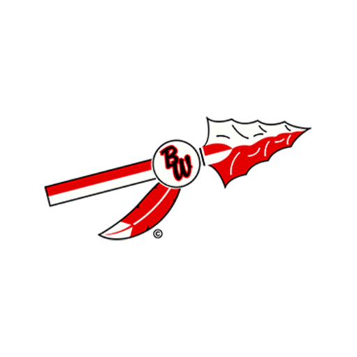 Baldwin-Woodville Area Schools