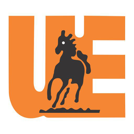 UNICORN ACADEMY